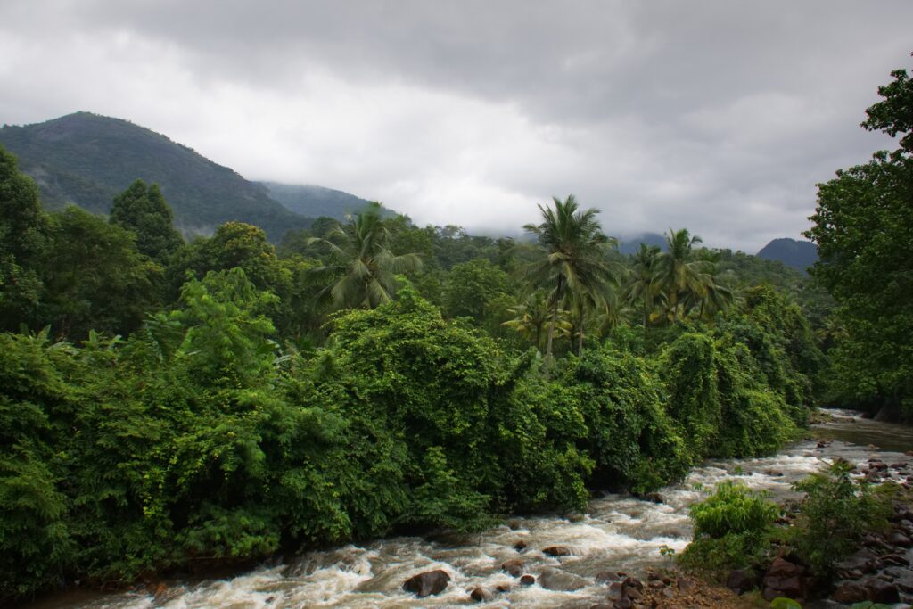kerala-rainy-travel-journey