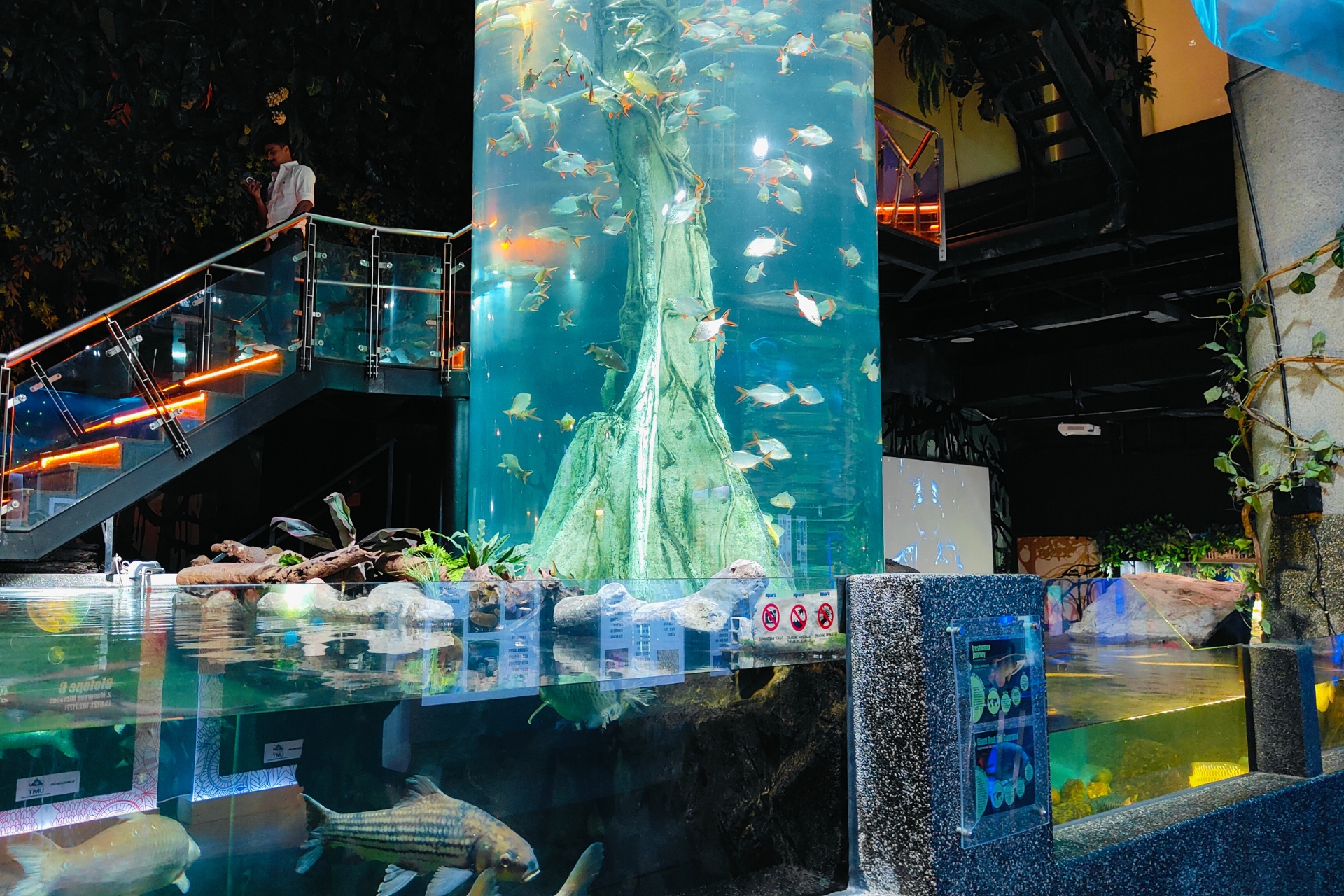 klcc-aquaria-malaysia-ek-alag-duniya